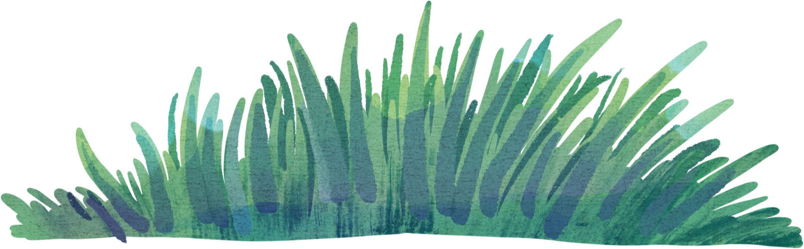 Grass Watercolor Illustration